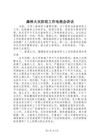 2024年森林火灾防范工作电视会致辞