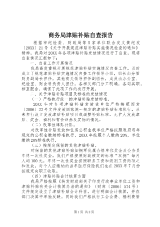 2024年商务局津贴补贴自查报告