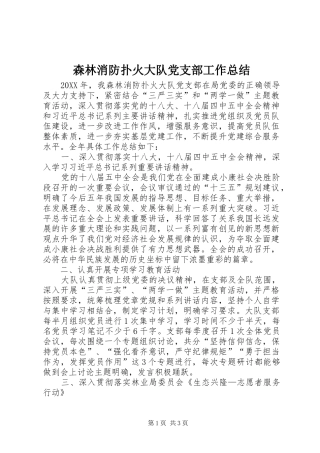 2024年森林消防扑火大队党支部工作总结