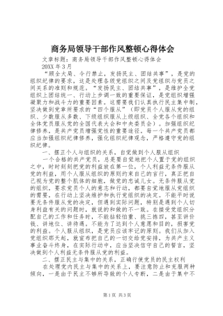 2024年商务局领导干部作风整顿心得体会