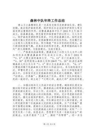 2024年森林中队年终工作总结