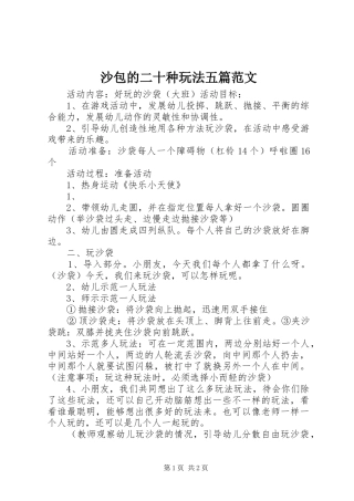 2024年沙包的二十种玩法五篇范文