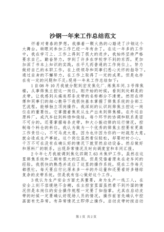 2024年沙钢一年来工作总结范文