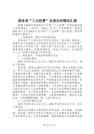 2024年商务局三公经费自查自纠情况汇报