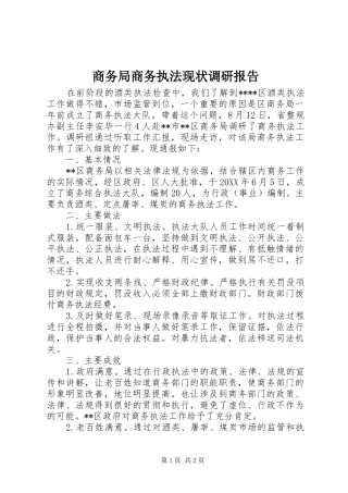 2024年商务局商务执法现状调研报告