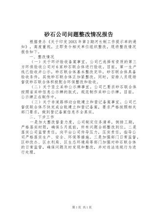 2024年砂石公司问题整改情况报告