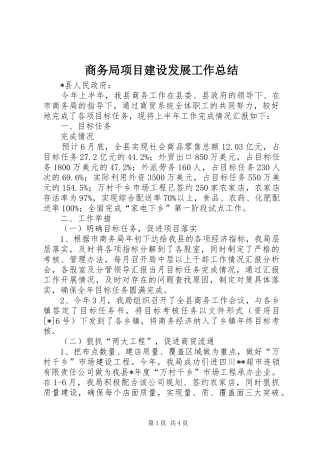 2024年商务局项目建设发展工作总结