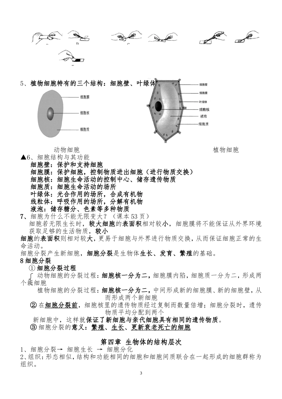 北师大版新七年级上册生物复习资料_第3页