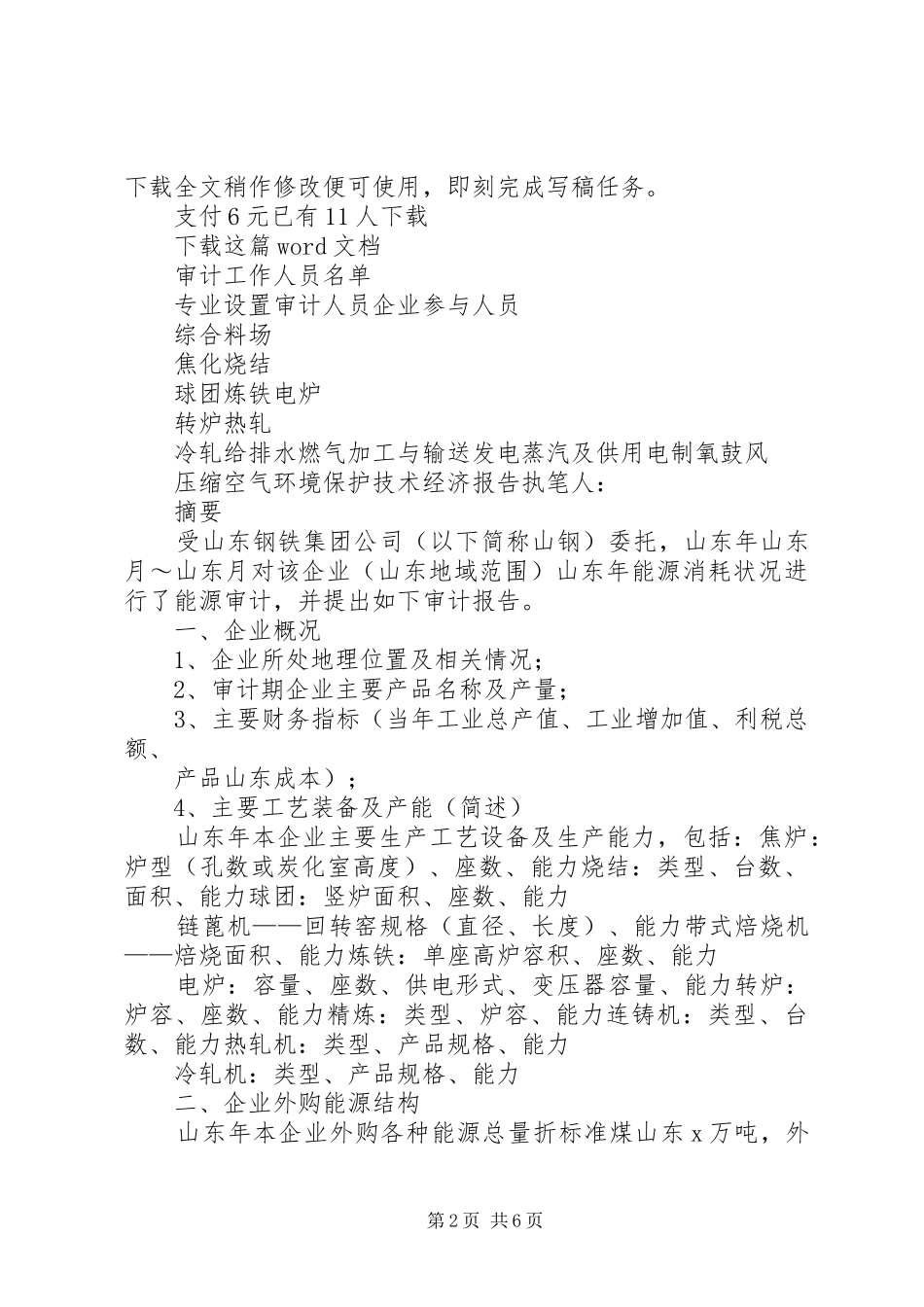 2024年山东钢铁能源审计报告_第2页