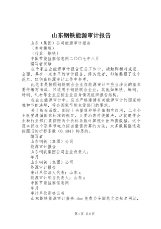 2024年山东钢铁能源审计报告