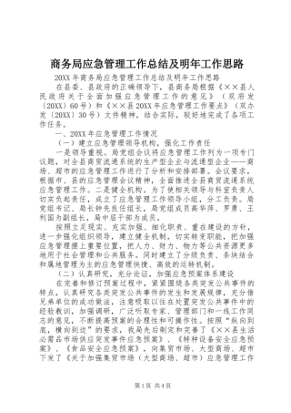 2024年商务局应急管理工作总结及明年工作思路