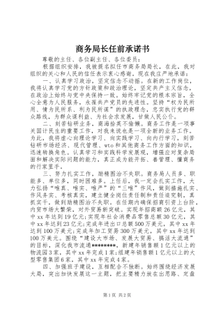 2024年商务局长任前承诺书