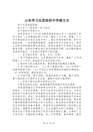 2024年山东学习反思枝阳中学禄文夫