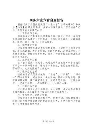 2024年商务六查六看自查报告