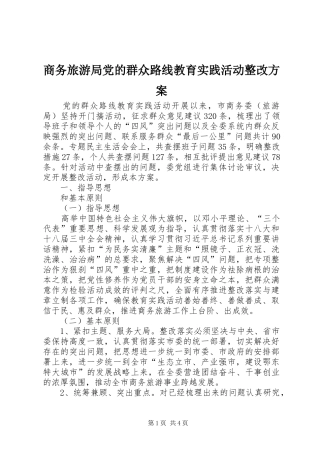 2024年商务旅游局党的群众路线教育实践活动整改方案