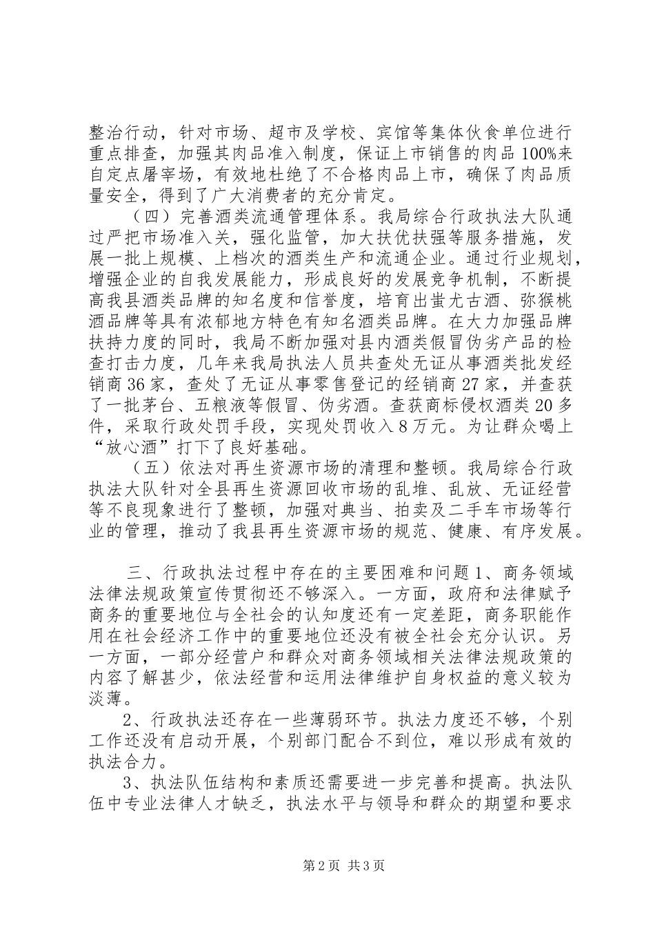 2024年商务综合行政执法大队工作情况总结_第2页