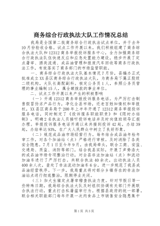 2024年商务综合行政执法大队工作情况总结