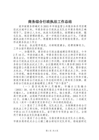 2024年商务综合行政执法工作总结