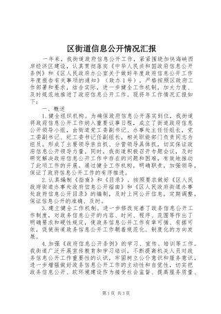2024年区街道信息公开情况汇报