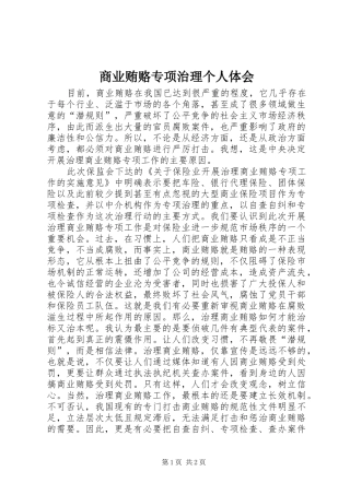 2024年商业贿赂专项治理个人体会