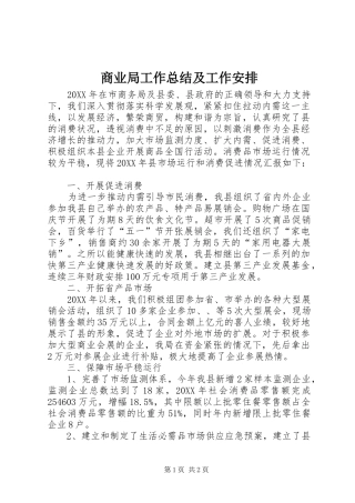 2024年商业局工作总结及工作安排