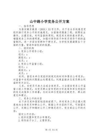 2024年山中路小学党务公开方案