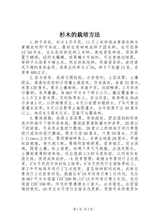 2024年杉木的栽培方法