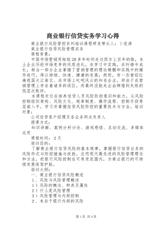2024年商业银行信贷实务学习心得