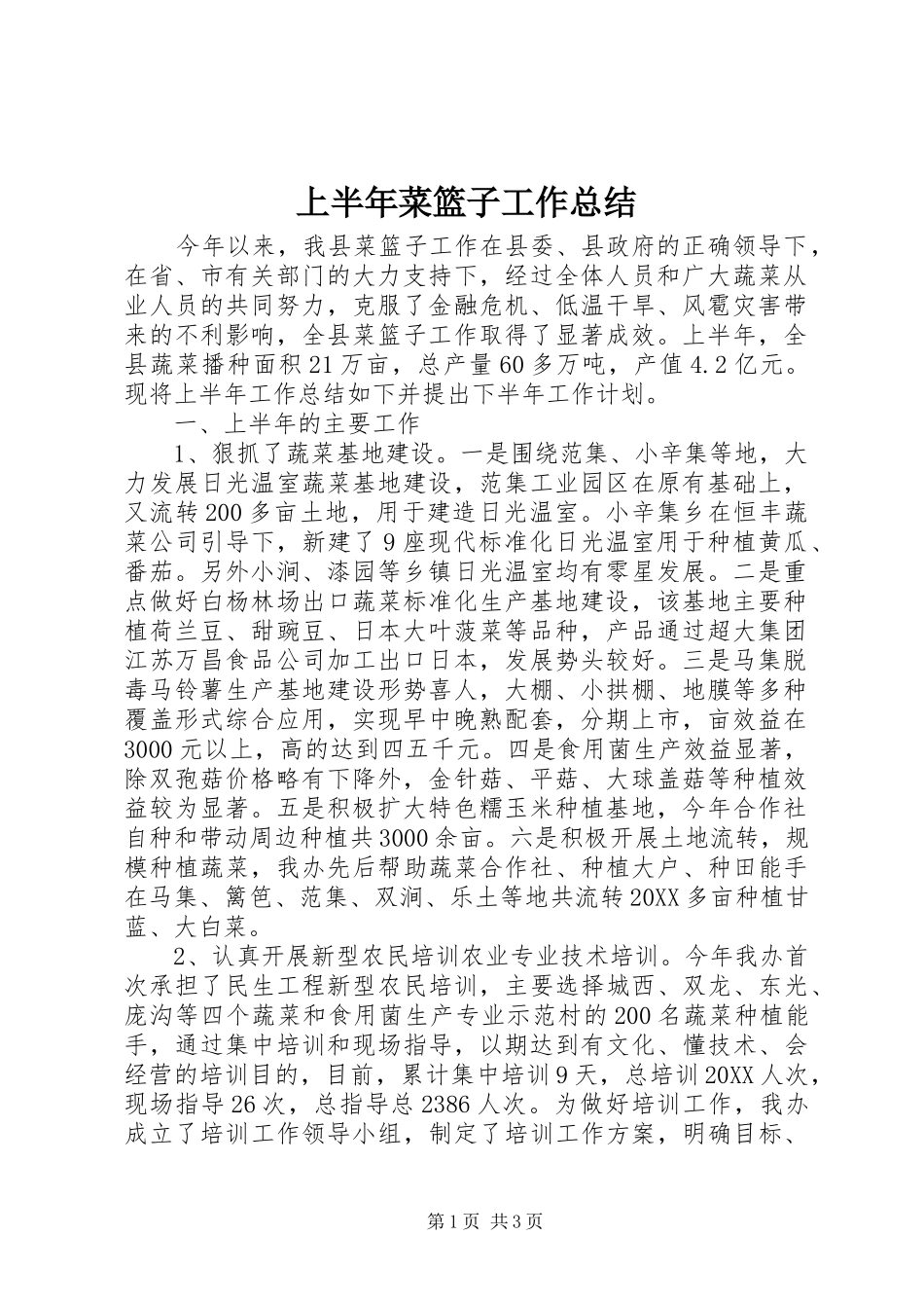 2024年上半年菜篮子工作总结_第1页