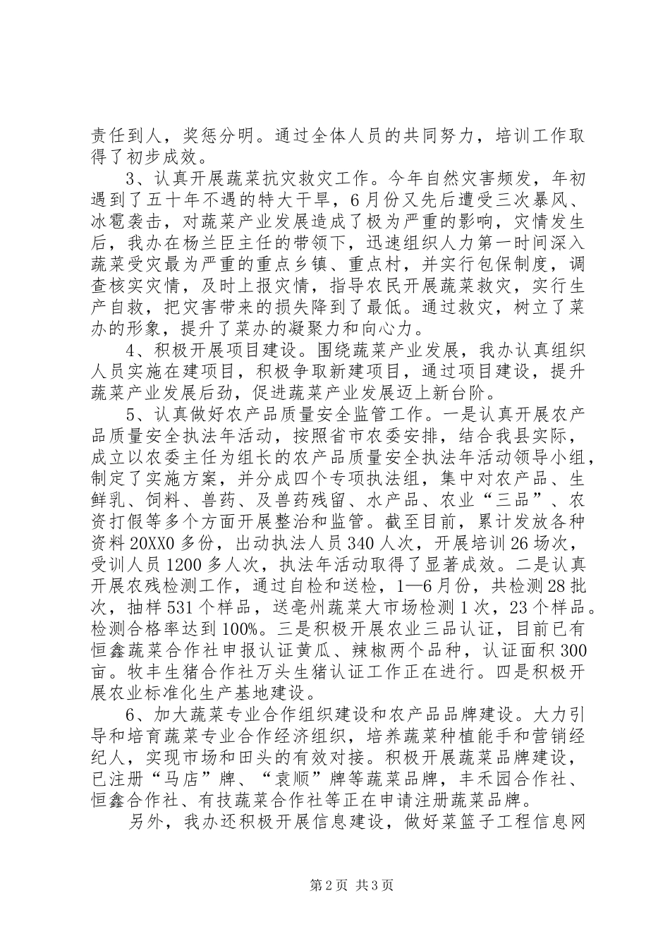 2024年上半年菜篮子工作总结_第2页