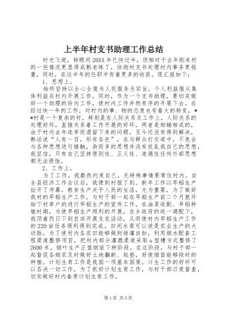 2024年上半年村支书助理工作总结