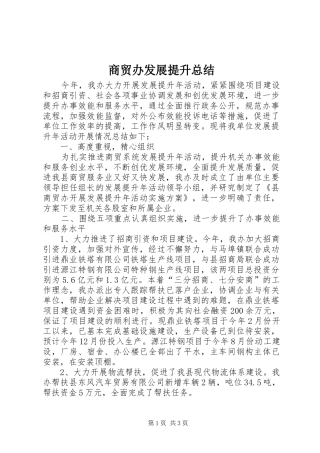 2024年商贸办发展提升总结