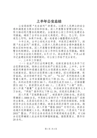 2024年上半年公安总结