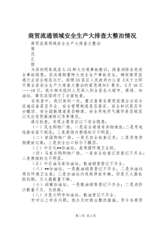 2024年商贸流通领域安全生产大排查大整治情况