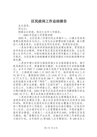 2024年区民政局工作总结报告