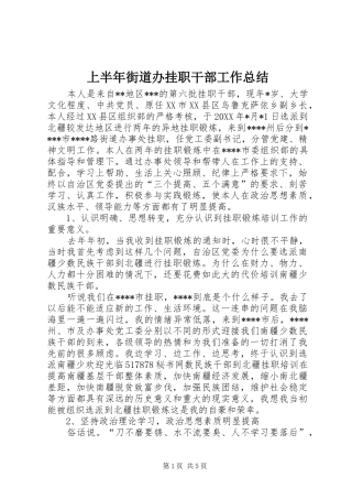 2024年上半年街道办挂职干部工作总结