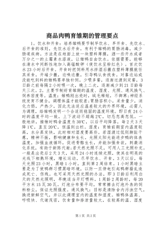 2024年商品肉鸭育雏期的管理要点