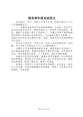 2024年商务部年度总结范文