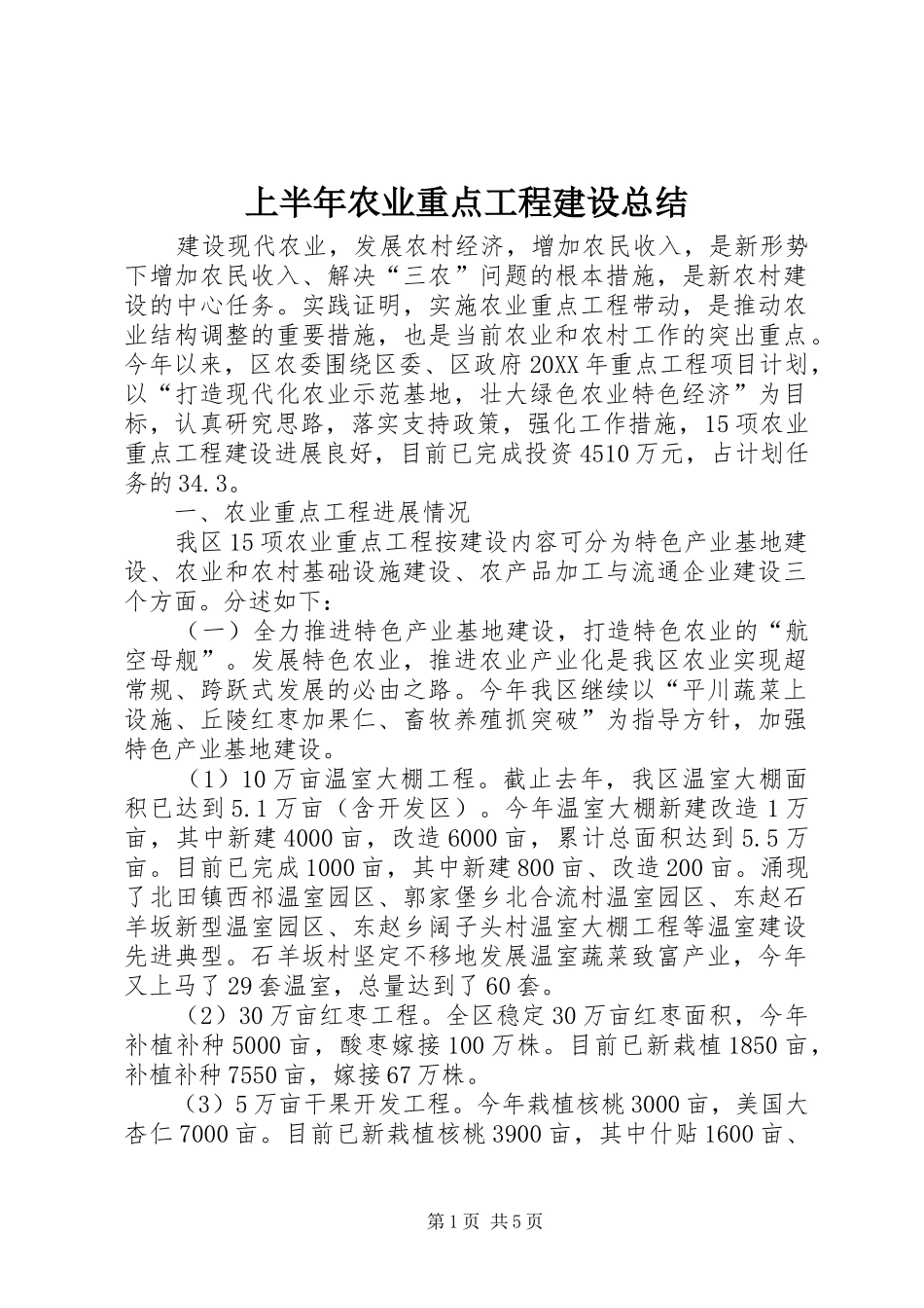 2024年上半年农业重点工程建设总结_第1页