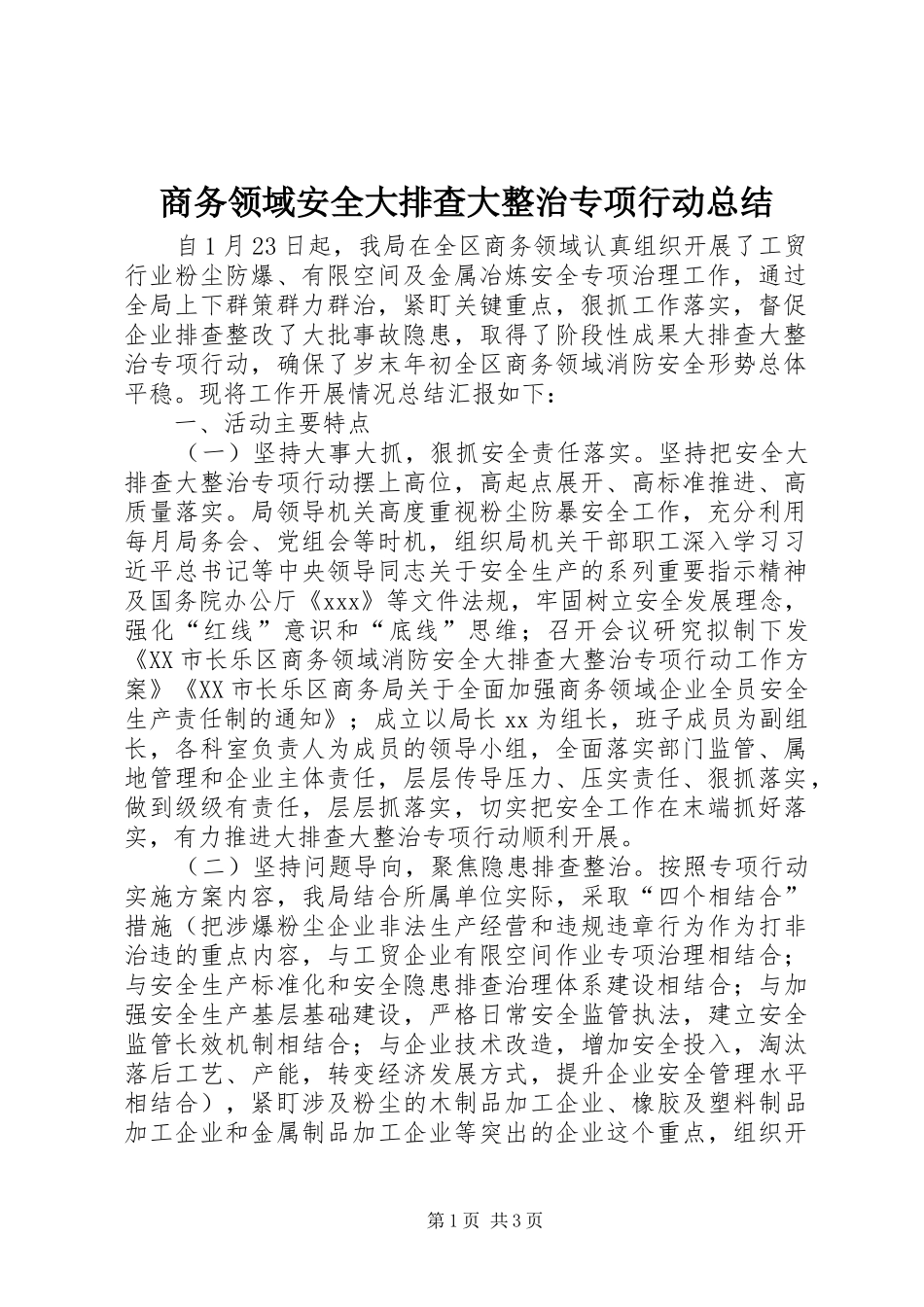 2024年商务领域安全大排查大整治专项行动总结_第1页