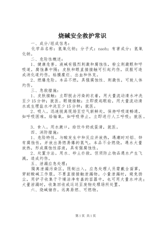 2024年烧碱安全救护常识