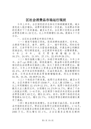 2024年区社会消费品市场运行现状
