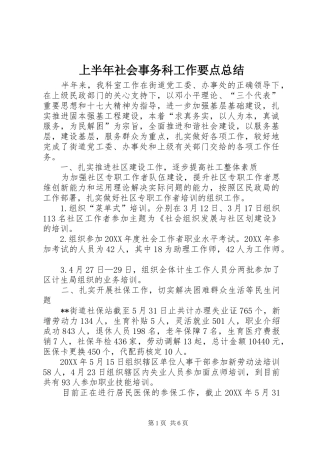2024年上半年社会事务科工作要点总结