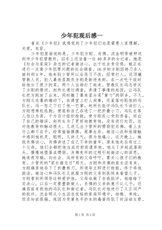 2024年少年犯观后感一