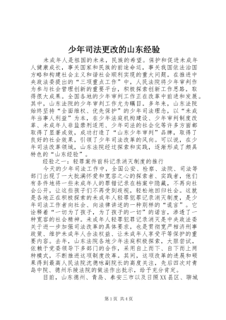 2024年少年司法更改的山东经验