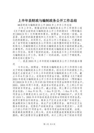 2024年上半年县财政与编制政务公开工作总结