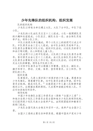 2024年少年先锋队的组织机构组织发展