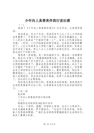 2024年少年向上真善美伴我行读后感