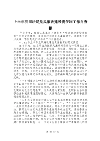 2024年上半年县司法局党风廉政建设责任制工作自查报