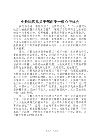 2024年少数民族党员干部两学一做心得体会